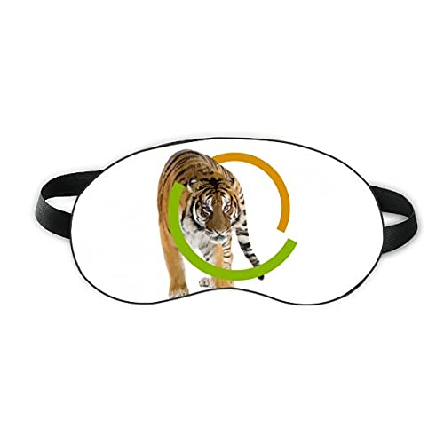 Macska Tigris Gyűrű Kegyetlen Aludni Szem Pajzs Puha Este Kendőt Árnyékba Borító
