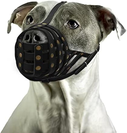 Pitbull Kutya Szájkosár Bőr Amstaff Staffordshire Terrier Lélegző Kosár, Állítható Pántok, Fekete, Barna, Zöld, Piros (Fekete)