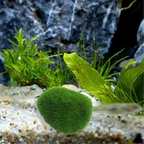 Szimulációs Hínár Labdát Víz Fű Mesterséges Növény akvárium, Akvárium Micro Táj Dekorációs Kellékek(Nagy, Közepes, Kicsi)