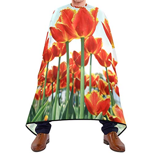 Szakmai Borbély Cape & Szakáll Kötény 2 az 1-ben - Mutatós Tavaszi Virágzó holland Piros Tulipán Haj Vágás Cape 2 tapadókorongok,