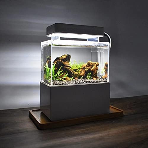 WSSBK Mini akvárium, Asztali Tengeri Akvapóniás Akvárium Halak Tál Vízzel Fliter LED USB Pumpa Hordozható Dekoráció (Szín : BlackTank