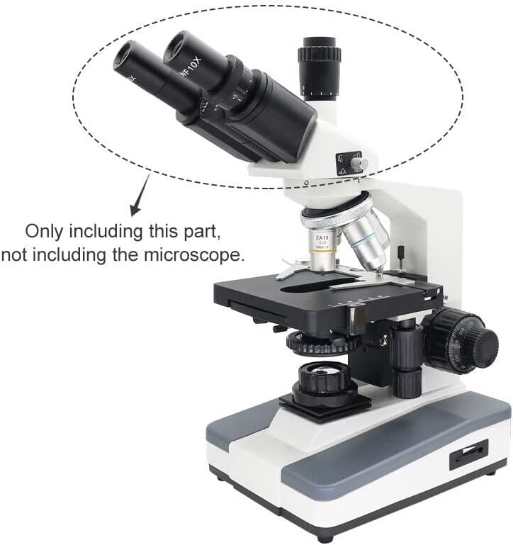 Mikroszkóp Kiegészítők Mikroszkóp Trinocular Fejét Ingyenes Monokuláris Fejét Binokuláris Fej Biológiai Mikroszkóp WF10X WF16X