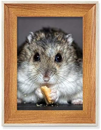 MCJS Hörcsög Állat Patkány Pet Aranyos Enni Asztali Fa Képkeret Kijelző Kép Art Festmény Több Készletek