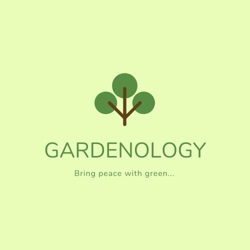 Gardenology Oxo Bio - 4 CENTI Vastag, Átlátszó Csomagolás Nyújtani, Film - 300 méter -70 Micron - Pack 1