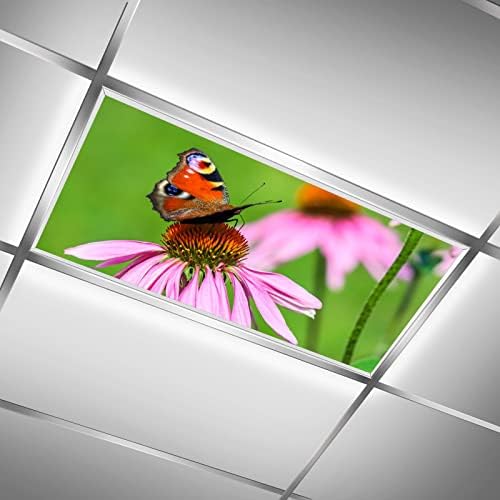 mchuang Pillangó Lila Virág 2 Csomag Flexibilis Fénycső Fedezze Filmek Tetőablak, Felső határa Iskolai Osztályban Hivatal angol Pub Medence
