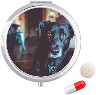 Fekete Kutya Kedvtelésből Tartott Állat Kép Tabletta Esetben Zsebében Gyógyszer Tároló Doboz, Tartály Adagoló