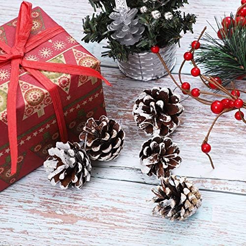Cooraby 27 Db Mini fenyőtoboz Karácsonyi Hó Lóg fenyőtoboz Természetes Dísz 3-4cm fenyőtoboz Medál String Tag Party Dekoráció