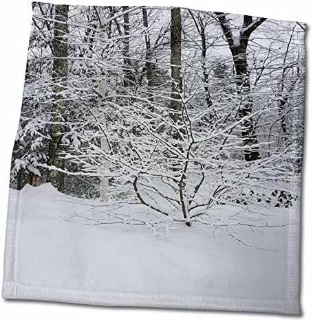 3dRose TDSwhite – Téli Szezonális Jellegű Fotók - Festői Téli Időjárás - Törölköző (twl-284893-3)