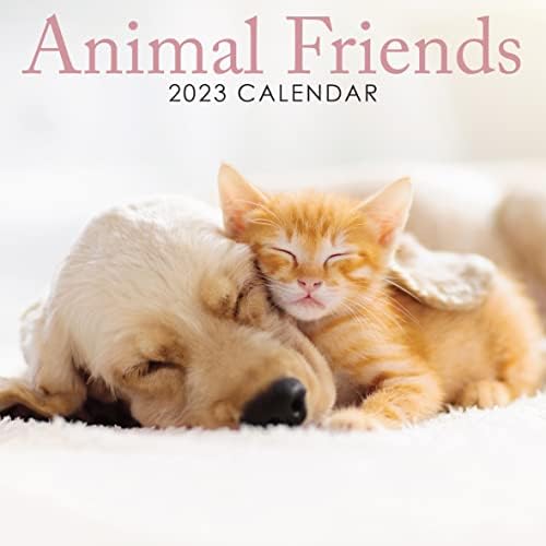 2023 Állat Barátok Tér Lóg falinaptár - Nem Műanyag - 12 x 12 Tervező, Szervező, állatbarát, Otthon, Család, Menetrend, a Napirend, Ajándék