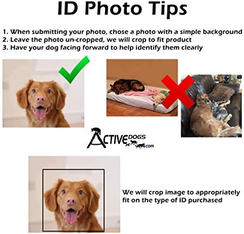 ActiveDogs Regisztrált Szolgáltatás Kutya & Kezelő személyi IGAZOLVÁNY + felcsatolható ID Fuvarozó Tartó + Digitális Másolatot
