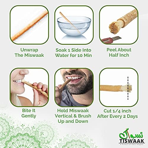TISWAAK - Csomag 12 Miswak Stick Természetes Fogfehérítő Készlet – Muszlim Természetes Ízű Növényi Fogkefe Miswak Botok Vákuum Lezárt tartó