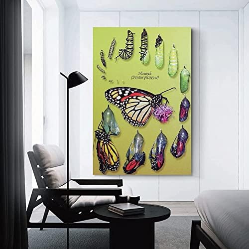 Rovar Tudományos Poszter Pillangó Poszter Monarch Butterfly életciklus Tanítás Poszter Vászon Nyomtatás Fali Dekoráció Festés