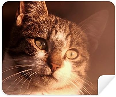 Állat Szentimentális Macska Simpol Lőni tisztítókendővel Képernyő Tisztító 2db Velúr Szövet