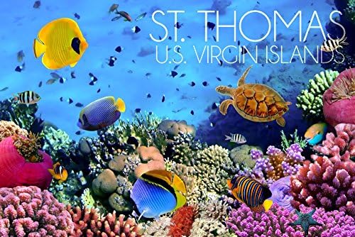 Lámpás Nyomja meg a St. Thomas, AMERIKAI Virgin-Szigetek, Víz alatti Korall (15oz Fehér Kerámia Kávés Bögre Tea, Mosogatógép, Mikrohullámú