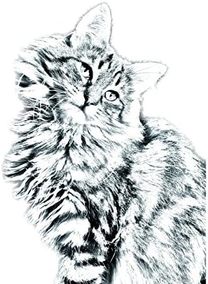 Művészeti Kutya Kft. Norvég Erdei Macska, Ovális alakú Sírkő a Kerámia egy Kép egy macska