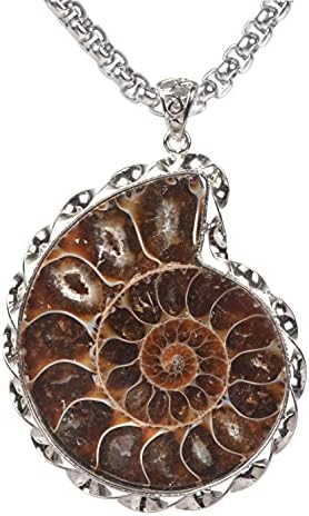 Természetes Ammonite Fosszilis Ékszerek, Ezüst Hang Csomagolva, Medál, Nyaklánc
