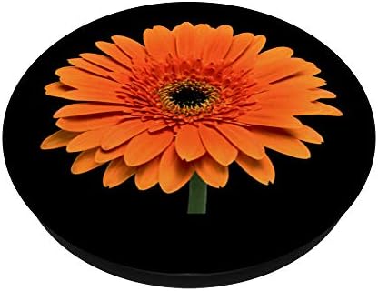 Narancssárga Gerbera Százszorszép Virág Fekete Háttér PopSockets Cserélhető PopGrip