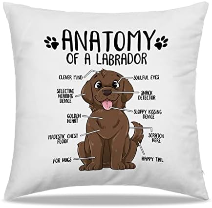DIBOR Anatómiája Egy Labrador Barna Labrador Párnát Öleli 18x18 a - Ajándék Kutya Szerelmeseinek Labrador Anya Lányok, Nők,Otthon Hálószoba,