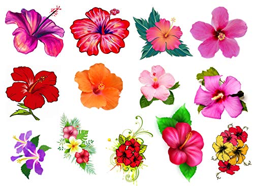 KazCreations Hibiszkusz Virág Gyűjtemény (Hibiscus Virág Ideiglenes Tetoválás)
