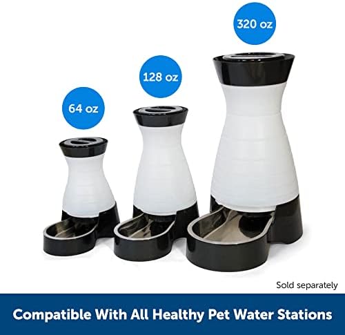 PetSafe Egészséges Pet-vízszűrő - Kókusz Szén-Tartja a Vizet, Friss - Kompatibilis Egészséges Pet Víz Állomások - Iratkozzon fel & Save - Időtartama