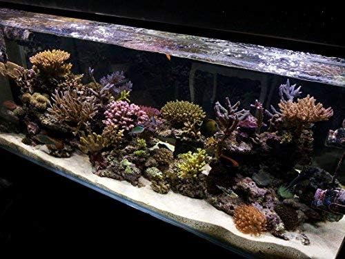 KZKR LED Akvárium Hood Világítás 72-78 hüvelyk akvárium Fény Lámpa Édesvízi, Tengeri Sós víz Kék-Fehér Fény Dekoráció 6-7 láb (34W) 180cm -